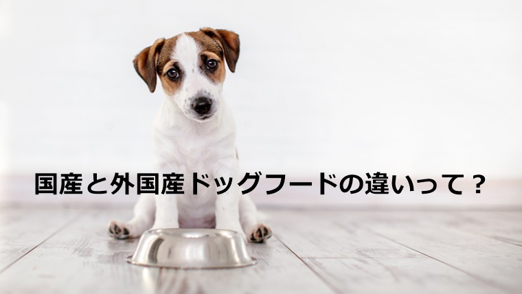 国産と外国産ドッグフードの違い