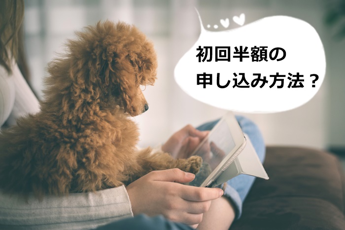初回半額でモグワンをお試しする方法とは?