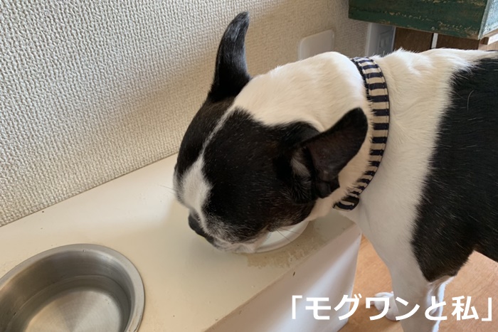 ナチュロルを1か月試してみました!